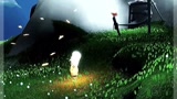 光遇，云野人从此变成雨林人！