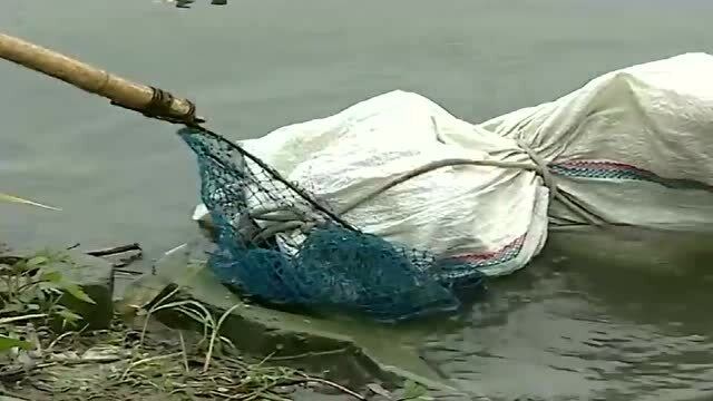 红罂粟:小伙在河边钓鱼,漂来一个麻袋,捞上来一看立马捂嘴