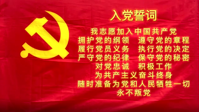 嘉兴重温入党誓词带背景国际歌