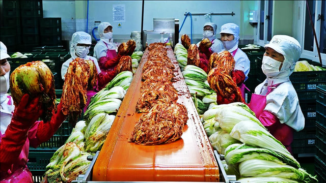 实拍工厂制作辣白菜,今天算是长见识了,真想尝尝看