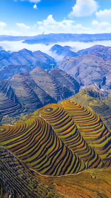 宁夏金鸡坪梯田,被誉为黄土高原美丽的指纹