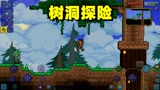 泰拉瑞亚03：神树树洞探险，宝藏没找到多米差点惨遭淹死