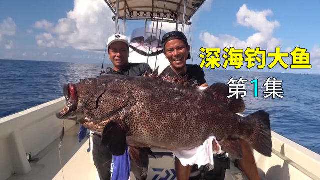 用6000元钓到128斤的石斑鱼,钓友亏了吗?深海钓大鱼