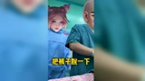 #王者荣耀 理解天花板