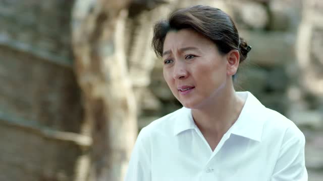 兰桐花开  第14集预告