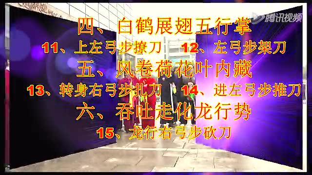 太极大师丁水德杨氏太极刀第04讲