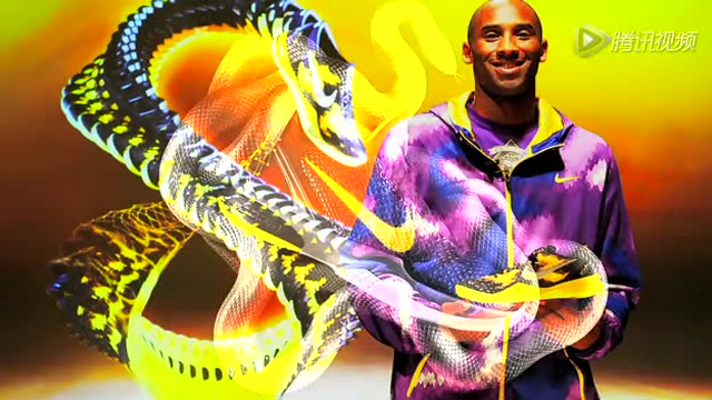 19:科比为什么是黑曼巴蛇?