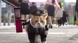 Y Mobile Futenya 猫老板 腾讯视频 Y Mobile Futenya 猫老板 腾讯视频