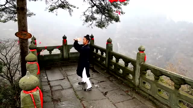 实拍太和拳演示 武当山巅不传之秘