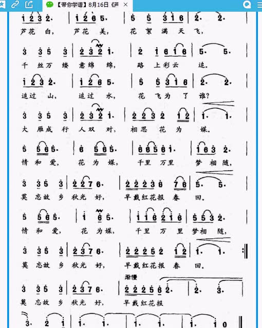 芦花歌谱简谱视唱