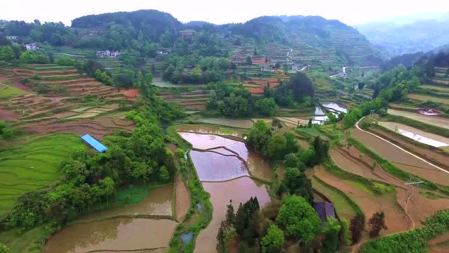 特色集镇:德江煎茶镇