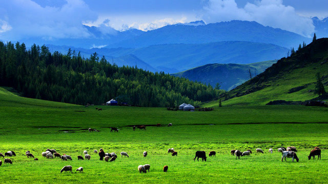 美醉了,绝美的那仁草原,这个季节去最合适