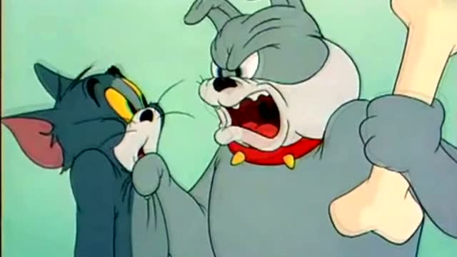 斯派克暴打汤姆