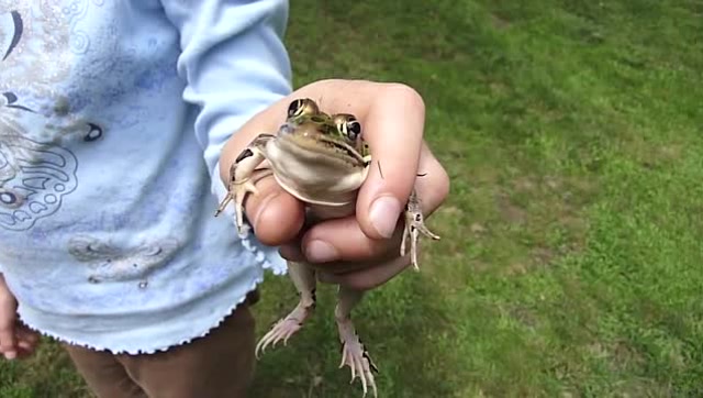 金发女孩抄手捕青蛙,抓在手里把玩好开心