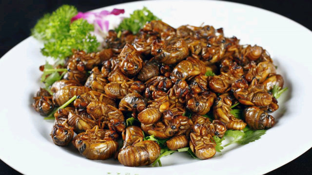 美食|早餐美味"干煸金蝉"快来尝尝