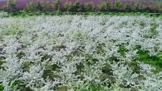 合肥市蜀山祥源幸福农场