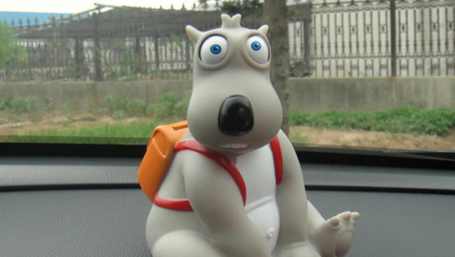 倒霉的一天又开始了,倒霉熊被蜜蜂蛰了会怎么样呢?