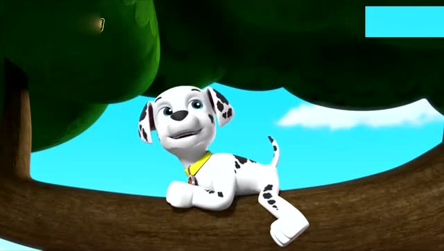 汪汪队立大功:狗狗们一起捉蝴蝶, 毛毛却从树上掉了下来