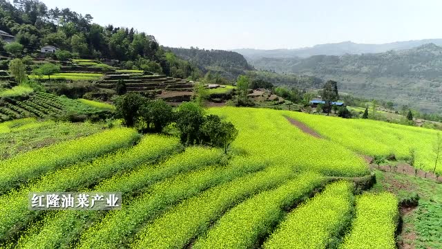 重庆市武隆区平桥镇图片