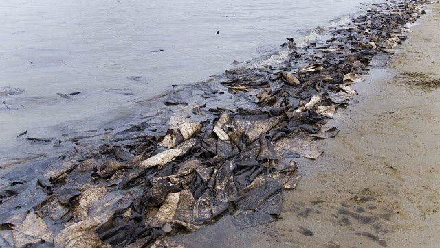 阿拉伯海现诡异死亡海域,周围不见一条鱼,海洋或正在"窒息"?