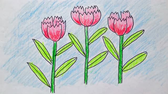 11.康乃馨-少儿彩笔绘画