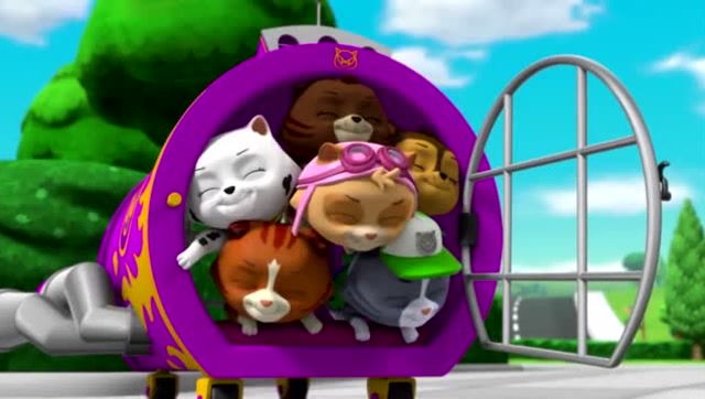 汪汪队立大功:调皮捣蛋猫咪大队这次又要做什么呢