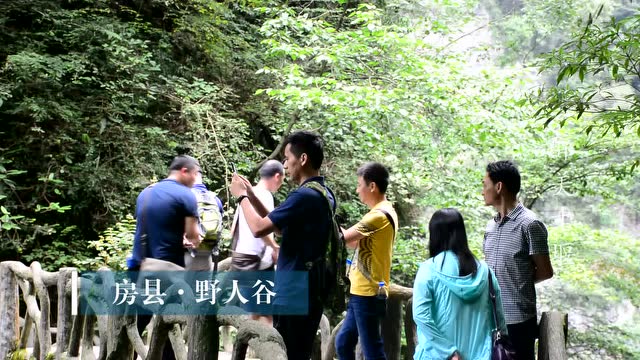 醉美十堰房县野人谷