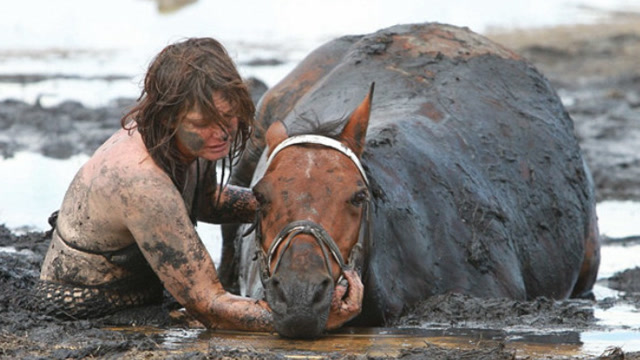马跟女主不慎陷入沼泽,女主脱身后,接下来的做法令人动容!