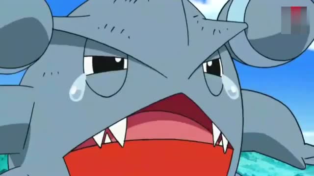 神奇宝贝,小智眼红了,眼看准神潜力股——圆陆鲨被别人收服了