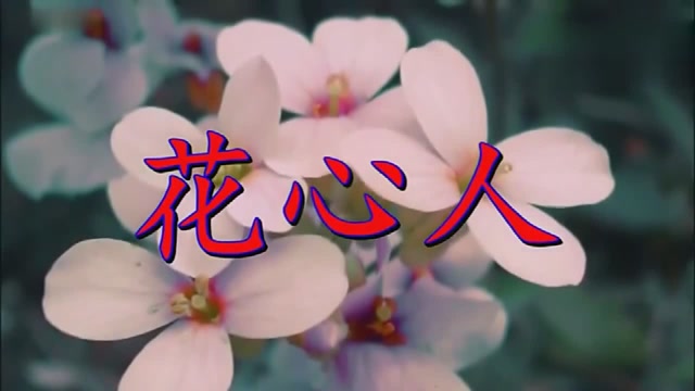 一首《花心人》唱哭了很多痴情男女,好听极了