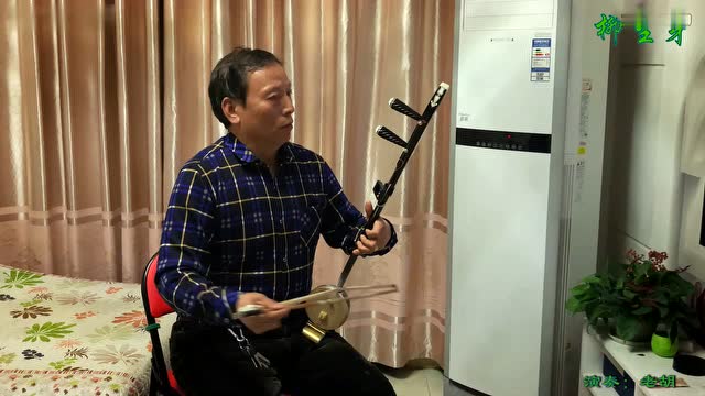 秦腔曲牌·柳生芽