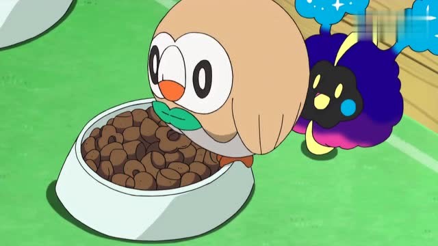 精灵宝可梦:捣乱之王,小智的这只宝可梦皮得不行