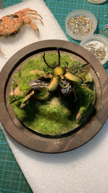 蒸汽昆虫微景观标本