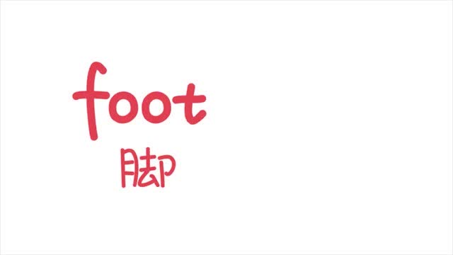 亲子英语简笔画:小朋友你们知道脚的英语怎么读吗?