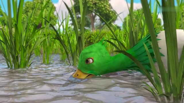 熊出没之探险日记:稻田鸭们除草啄虫的技术,真的是好厉害呀