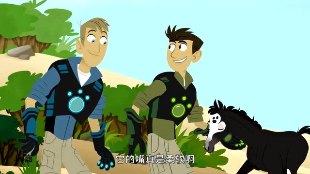 动物兄弟5:勇敢和胆小有趣的结合体,小野马"怕怕"