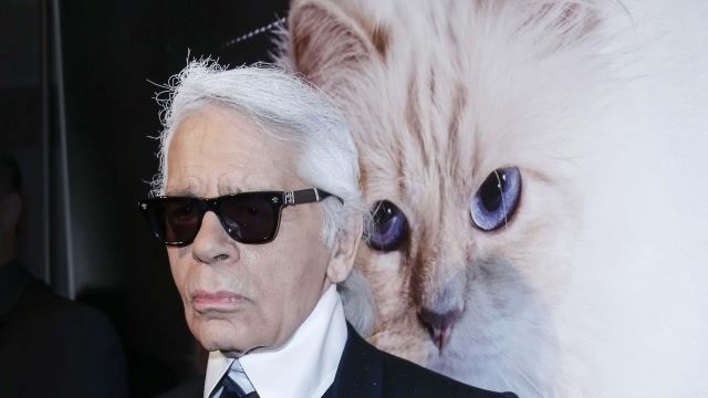 人不如猫!香奈儿"老佛爷"养的猫年入2200万,或将继承4.53亿财产
