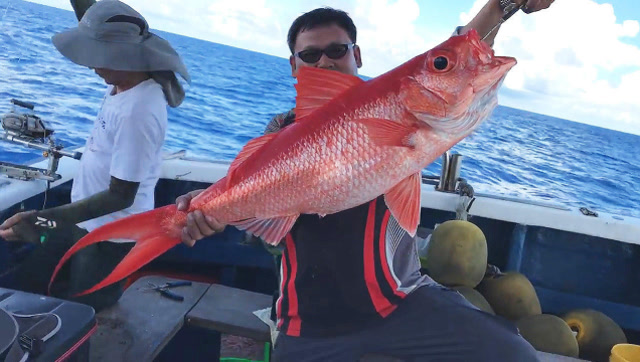 深海大红鱼,这样的鱼获才够刺激!