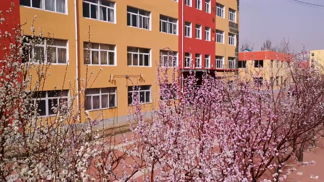 康平县第二中学桃花