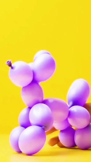 简单易学的气球变身贵宾犬