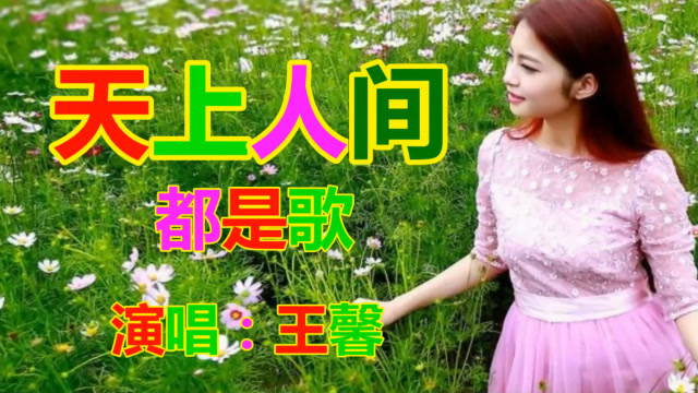 王馨《天上人间都是歌》网络歌曲_流行歌曲