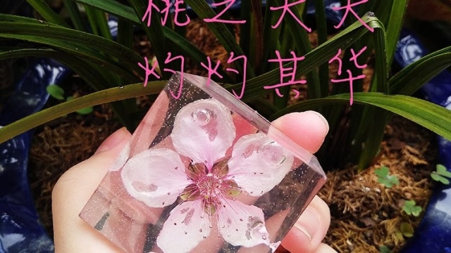 手工滴胶教程三分钟做一朵桃花标本