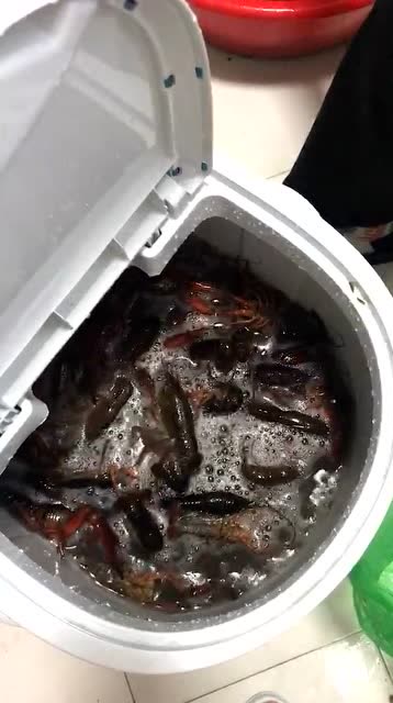 用洗衣机洗小龙虾,这个奇思妙想太好了