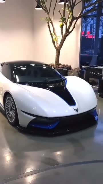 国产超级跑车北极狐太给力了