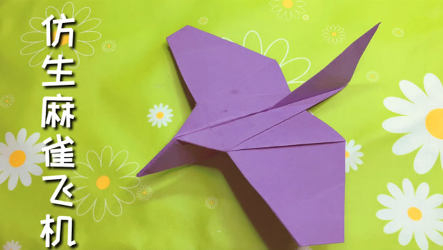 别小看了这个麻雀纸飞机,它能飞的很远呢,折一架试试吧!