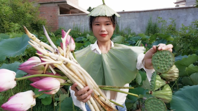 抽藕带藕带莲蓬莲花摘回家小香用荷叶做的衣服堪称维密秀