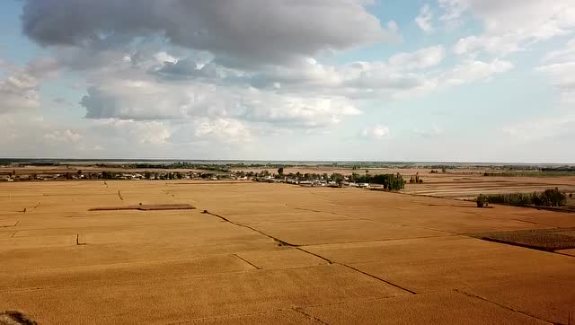 新民市公主屯镇宣传片