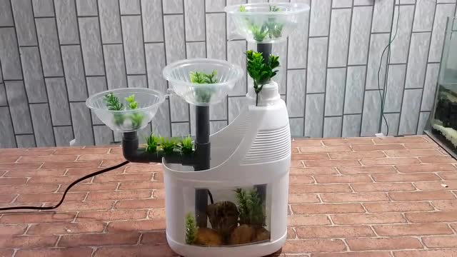 洗衣液壶别扔!手把手教您手工diy自制创意小鱼缸