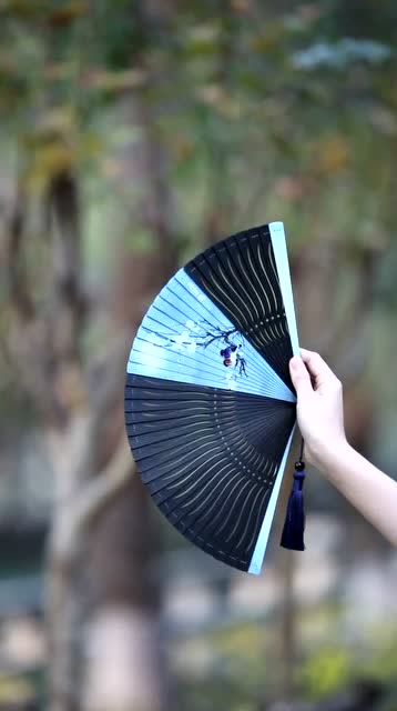 汉服文化:假如开扇子有段位,康康你是什么段位?