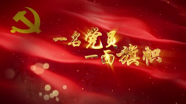 一名党员一面旗帜专题片陈洪兵